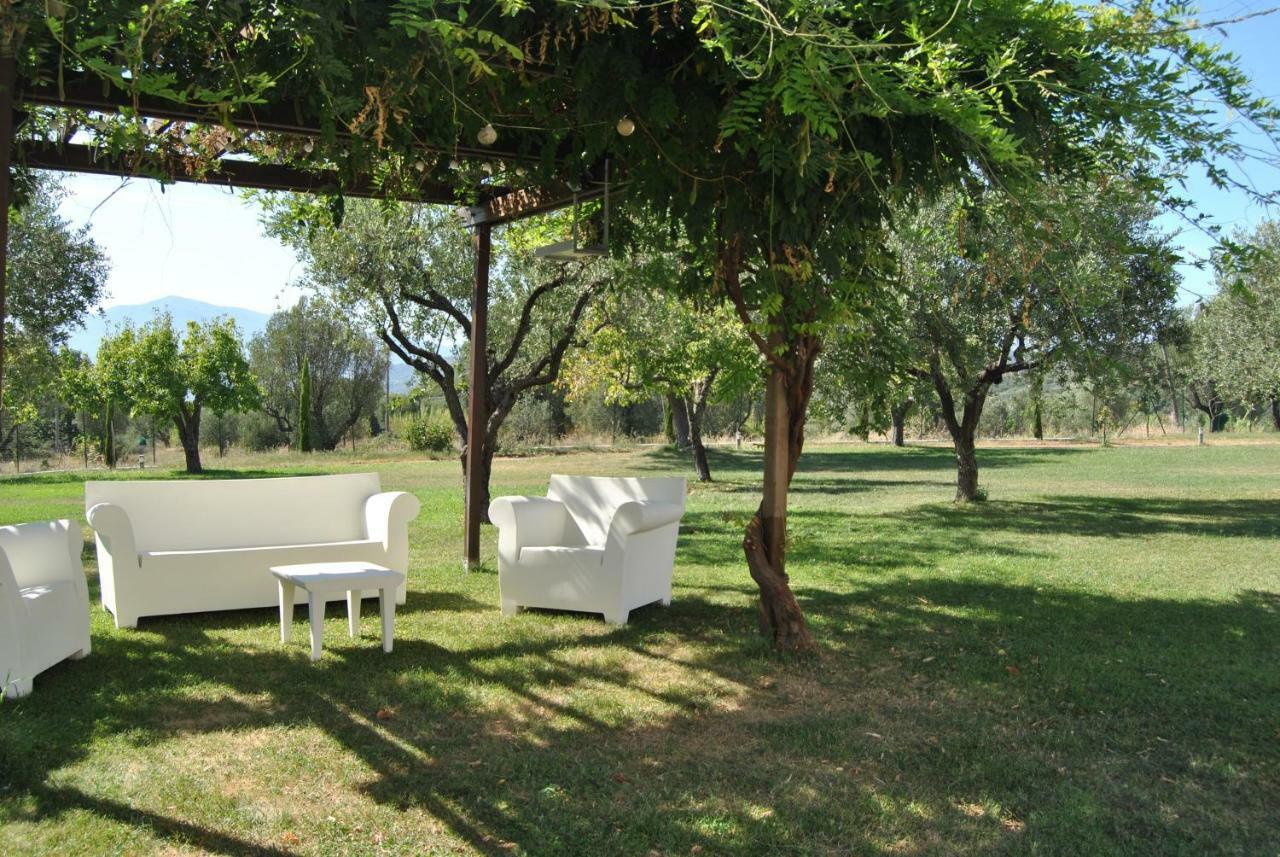 Corbezzolo Bed and Breakfast Vallo della Lucania Eksteriør billede