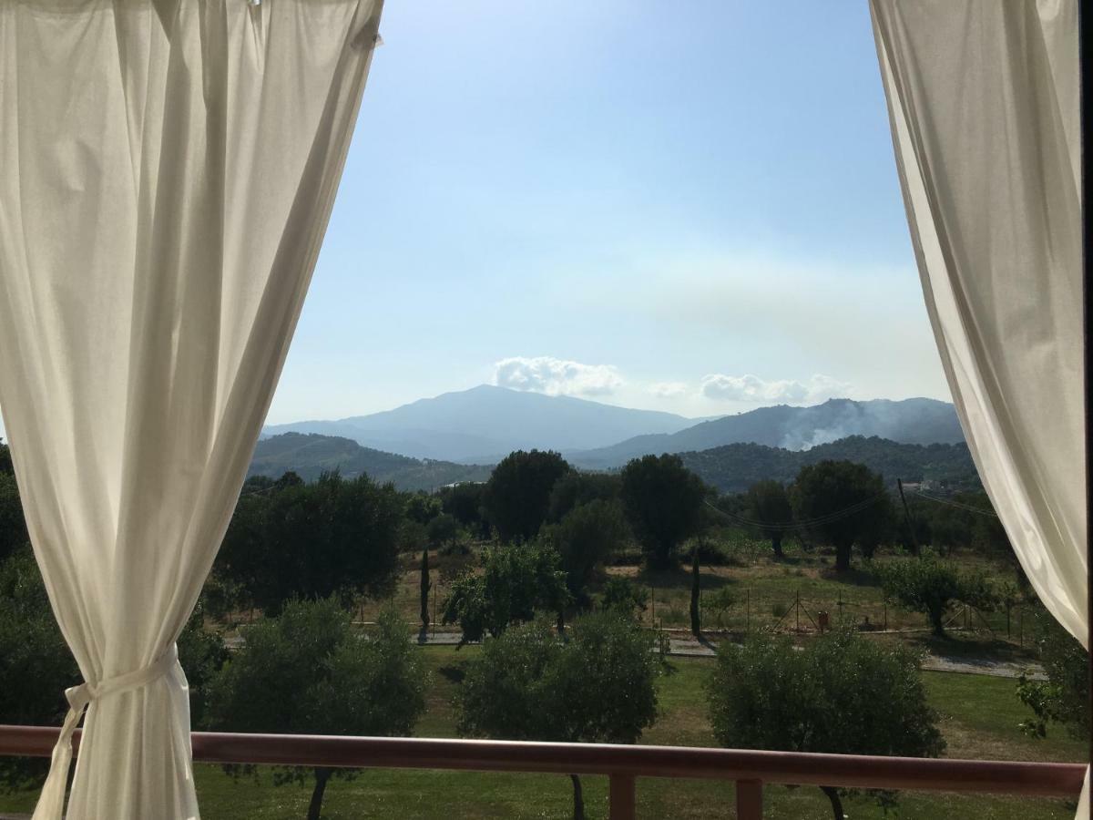 Corbezzolo Bed and Breakfast Vallo della Lucania Eksteriør billede
